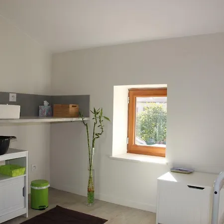 Grand Duplex Au Calme En Centre-ville Appartement Villefranche-sur-Saône