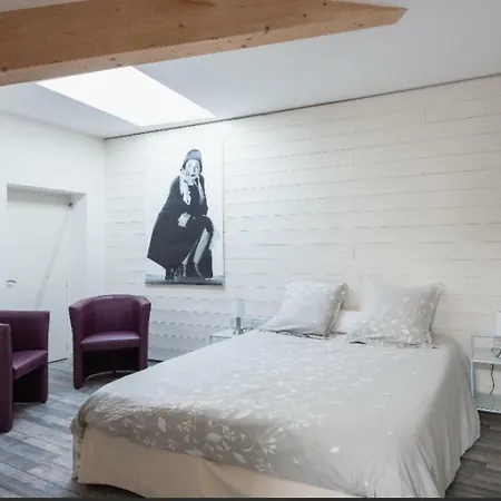 Appartement Grand Duplex Au Calme En Centre-ville *